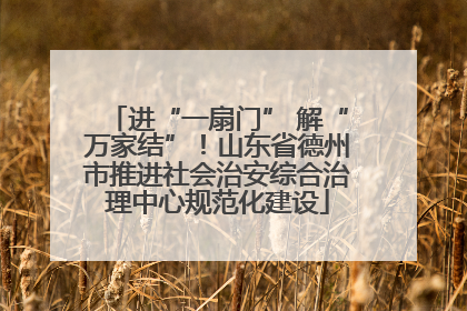 进“一扇门” 解“万家结”！山东省德州市推进社会治安综合治理中心规范化建设
