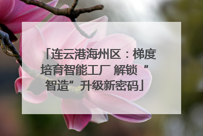 连云港海州区：梯度培育智能工厂 解锁“智造”升级新密码