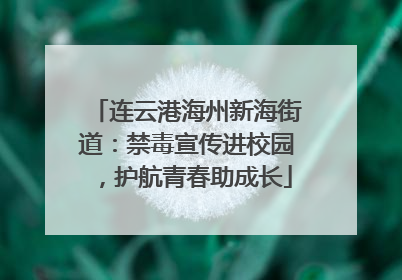 连云港海州新海街道：禁毒宣传进校园，护航青春助成长
