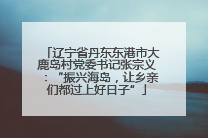 辽宁省丹东东港市大鹿岛村党委书记张宗义：“振兴海岛，让乡亲们都过上好日子”