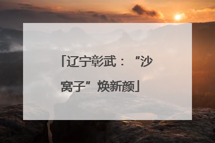 辽宁彰武：“沙窝子”焕新颜