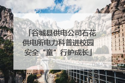 谷城县供电公司石花供电所电力科普进校园安全“童”行护成长