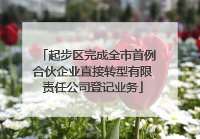 起步区完成全市首例合伙企业直接转型有限责任公司登记业务