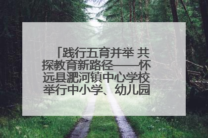 践行五育并举 共探教育新路径——怀远县淝河镇中心学校举行中小学、幼儿园班主任论坛活动