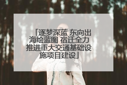 逐梦深蓝 东向出海绘蓝图 宿迁全力推进重大交通基础设施项目建设