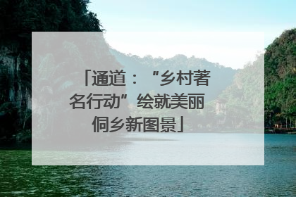 通道：“乡村著名行动”绘就美丽侗乡新图景