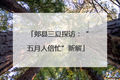 郏县三夏探访：“五月人倍忙”新解