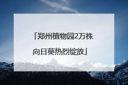 郑州植物园2万株向日葵热烈绽放