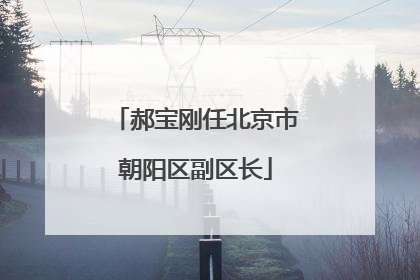 郝宝刚任北京市朝阳区副区长