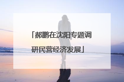 郝鹏在沈阳专题调研民营经济发展