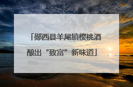 郧西县羊尾镇樱桃酒酿出“致富”新味道