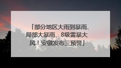 部分地区大雨到暴雨、局部大暴雨、8级雷暴大风！安徽发布三预警