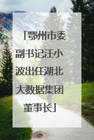 鄂州市委副书记汪小波出任湖北大数据集团董事长