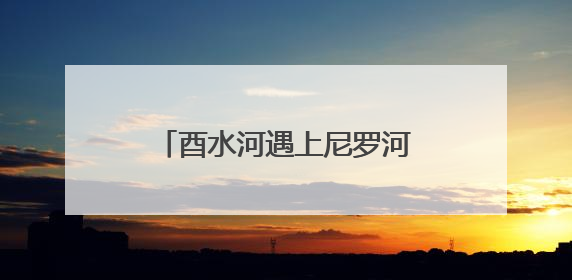 酉水河遇上尼罗河：保靖黄金茶、村厨“出海”启新途