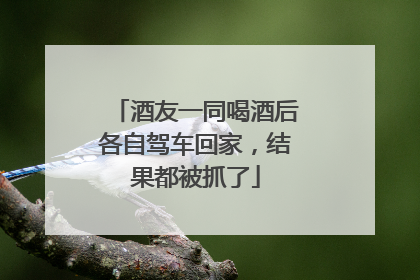 酒友一同喝酒后各自驾车回家，结果都被抓了