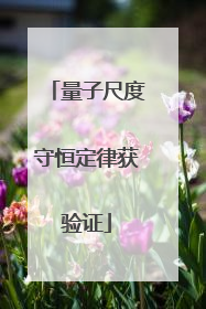 量子尺度守恒定律获验证