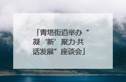 青塔街道举办“凝‘新’聚力·共话发展”座谈会