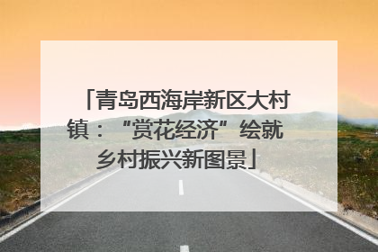 青岛西海岸新区大村镇：“赏花经济”绘就乡村振兴新图景