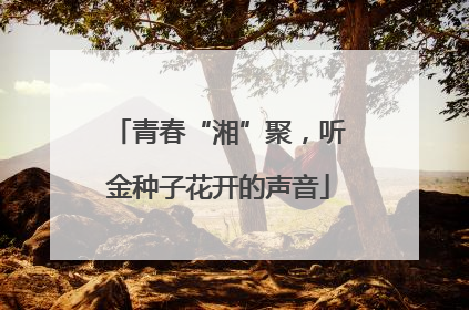 青春“湘”聚，听金种子花开的声音