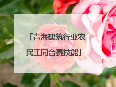 青海建筑行业农民工同台赛技能