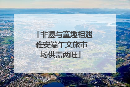 非遗与童趣相遇 雅安端午文旅市场供需两旺