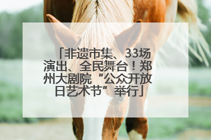 非遗市集、33场演出、全民舞台！郑州大剧院“公众开放日艺术节”举行
