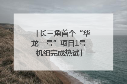 长三角首个“华龙一号”项目1号机组完成热试