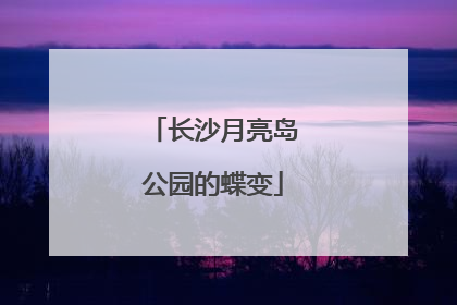 长沙月亮岛公园的蝶变