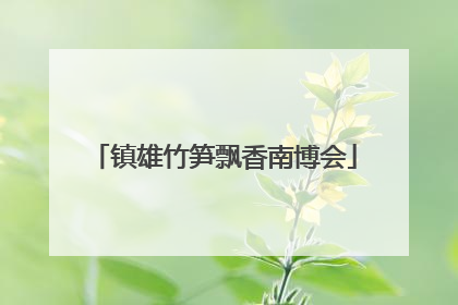 镇雄竹笋飘香南博会