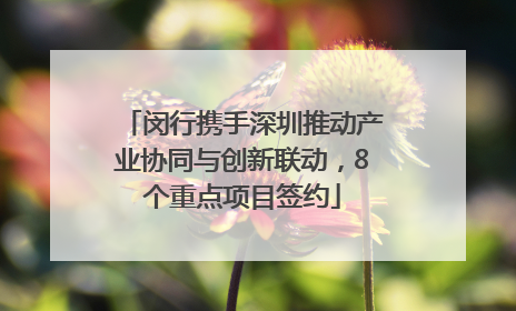 闵行携手深圳推动产业协同与创新联动，8个重点项目签约