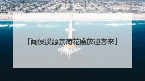 闽侯溪源寨荷花盛放迎客来