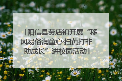 阳信县劳店镇开展“移风易俗润童心·扫黄打非助成长”进校园活动