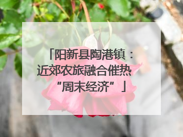 阳新县陶港镇：近郊农旅融合催热“周末经济”