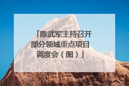 陈武军主持召开部分领域重点项目调度会（图）