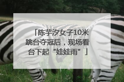 陈芋汐女子10米跳台夺冠后，现场看台下起“娃娃雨”