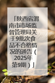 陕西省渭南市市场监督管理局关于9批次食品不合格情况的通告（2025年第9期）