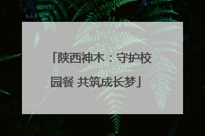 陕西神木：守护校园餐 共筑成长梦