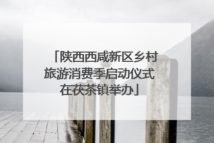 陕西西咸新区乡村旅游消费季启动仪式在茯茶镇举办
