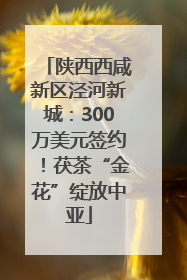 陕西西咸新区泾河新城：300万美元签约！茯茶“金花”绽放中亚
