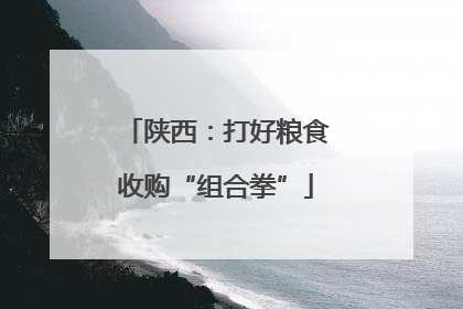 陕西：打好粮食收购“组合拳”