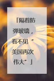 隔着防弹玻璃，看不见“美国再次伟大”