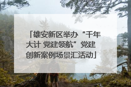 雄安新区举办“千年大计 党建领航”党建创新案例场景汇活动