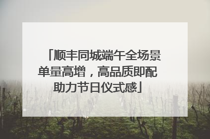 顺丰同城端午全场景单量高增，高品质即配助力节日仪式感