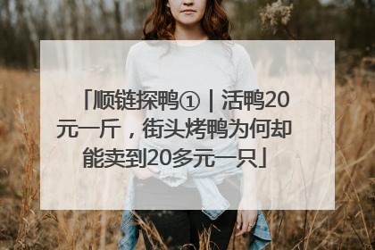 顺链探鸭①｜活鸭20元一斤，街头烤鸭为何却能卖到20多元一只