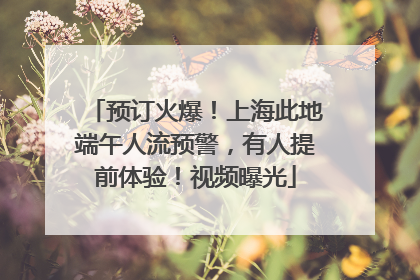 预订火爆！上海此地端午人流预警，有人提前体验！视频曝光