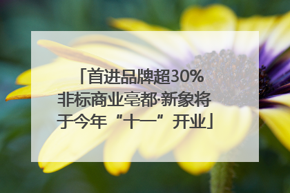 首进品牌超30% 非标商业亳都·新象将于今年“十一”开业