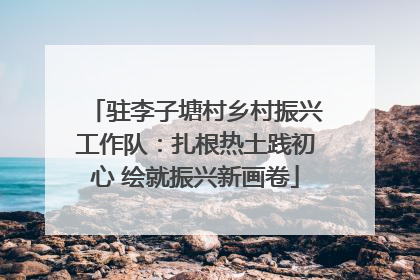 驻李子塘村乡村振兴工作队：扎根热土践初心 绘就振兴新画卷