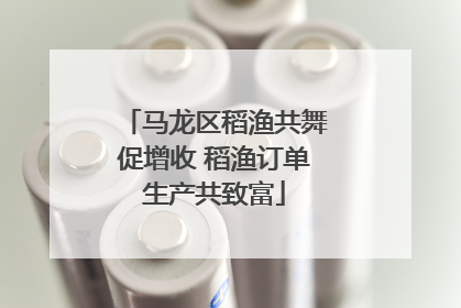 马龙区稻渔共舞促增收 稻渔订单生产共致富