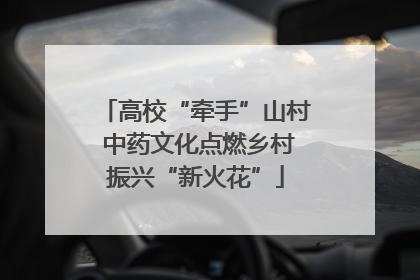 高校“牵手”山村 中药文化点燃乡村振兴“新火花”