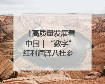 高质量发展看中国｜“数字”红利润泽八桂乡村 智慧赋能绘就振兴画卷